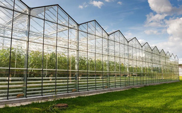 因為一場綜藝備受關注，智慧大棚到底有多神奇