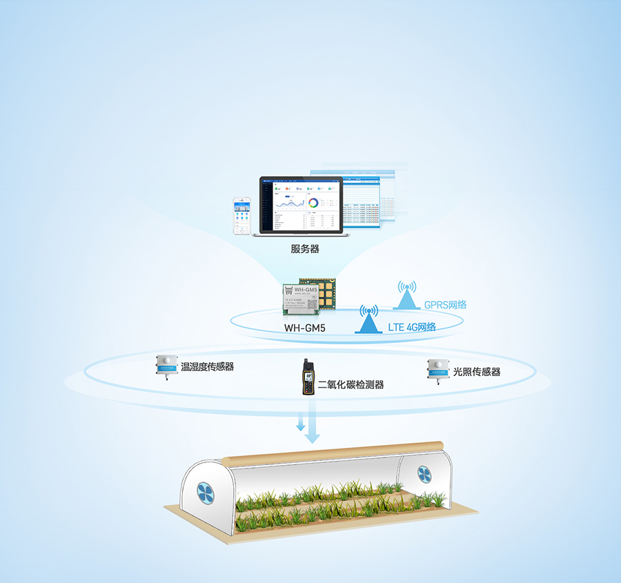 Cat-1ģKr(nng)I(y)(lin)W(wng)h(hun)O(jin)y(c)